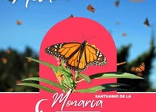 Santuario de la Mariposa Monarca